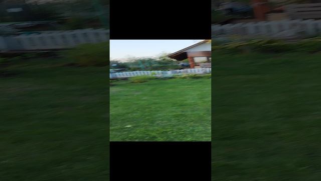 1000000646.mp4