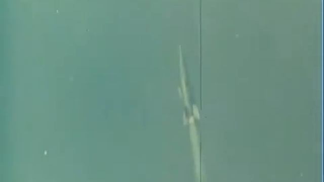 Белку и Стрелку готовили к полету в космос целый год смотреть онлайн