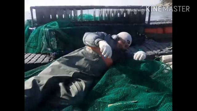 Работа в южной корее 👍 смотреть онлайн