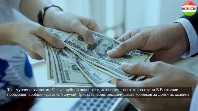 Арест кроликов и обязательные работы: как выбивают алименты смотреть онлайн