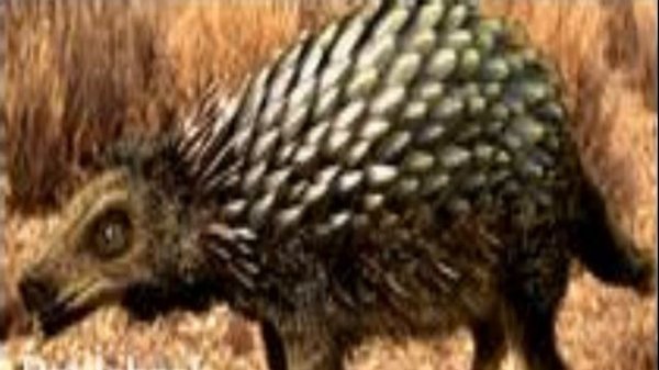 The Future is Wild Creatures and my Spore Response to Them1