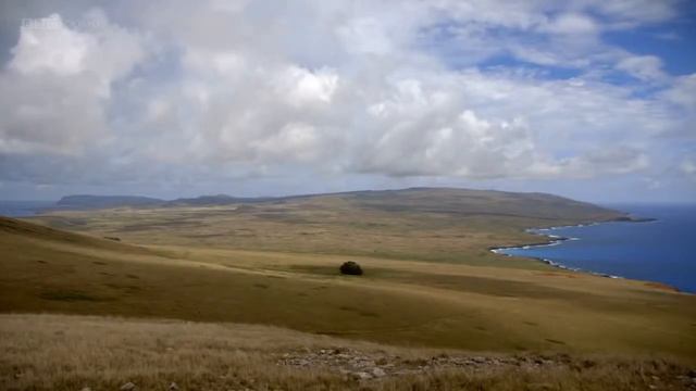 RAP GAME PÅSKEØYA смотреть онлайн