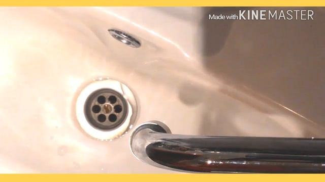 Уход за морской свинкой Питание морской свинки смотреть онлайн