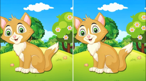 На рисунке с котом  3 отличия Попытайтесь их найти.