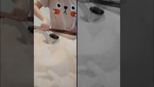 The Name Turkish Coffee Is A Method Of Preparation, Not Raw Material, No Type Of Coffee Beans From