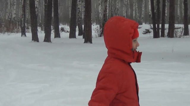 Зимние зарисовки. 2015