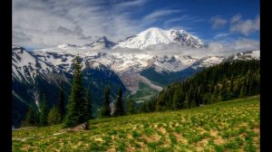 Шепоток  сдать на водительские права