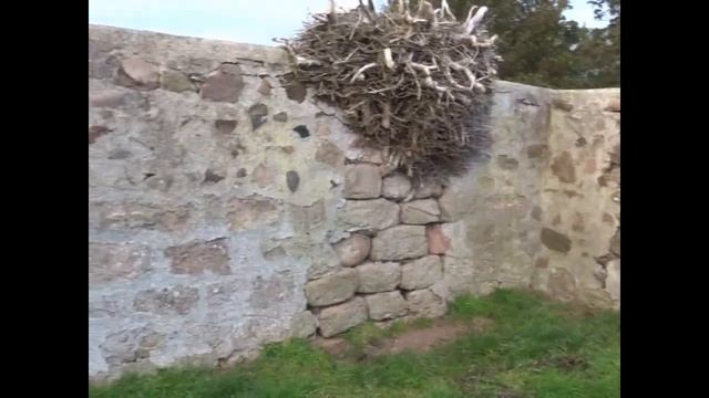 Lamberton Kirk, Berwickshire It's Place in Scottish History смотреть онлайн