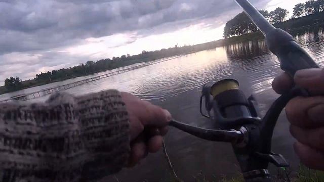 ПОПАЛИ НА КАРПОВОЕ ЭЛЬДОРАДО! (VIP) РЫБАЛКА В КОКИНО (НОВЫЙ ВОДОЕМ) ЧАСТЬ ПЕРВАЯ! смотреть онлайн