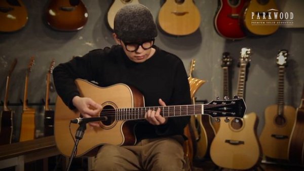 파크우드 P660 / PARKWOOD P660 원미사운드