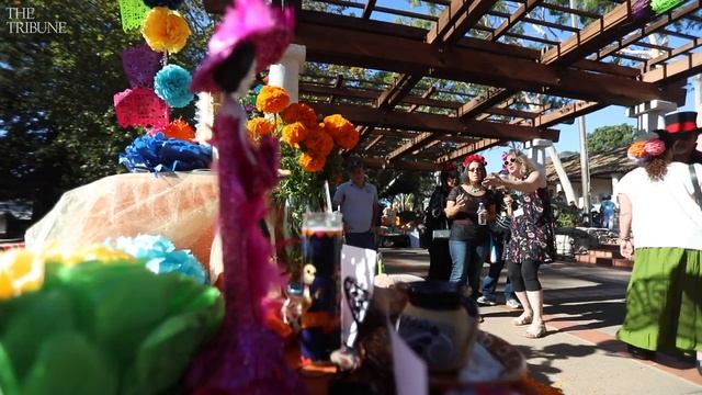 Dia de los Muertos traditions explained смотреть онлайн