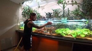 Аква-фито терапия !/подмена воды в 750л !