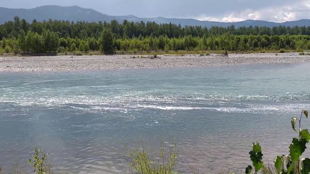 СЛИЯНИЕ РЕК КОКСА и КАТУНЬ. ГОРНЫЙ АЛТАЙ УСТЬ КОКСА смотреть онлайн