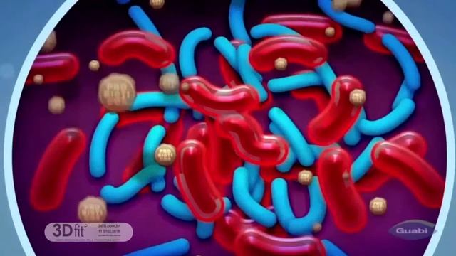 Animação 3D QS Guabi смотреть онлайн