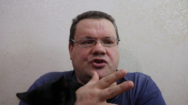 Когда котик счастлив? Немного о случившемся со мной сегодня смотреть онлайн