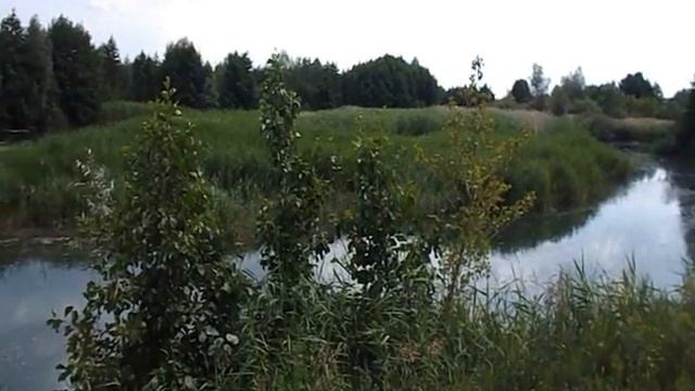 Черная речка на берегу реки Черная речка смотреть онлайн