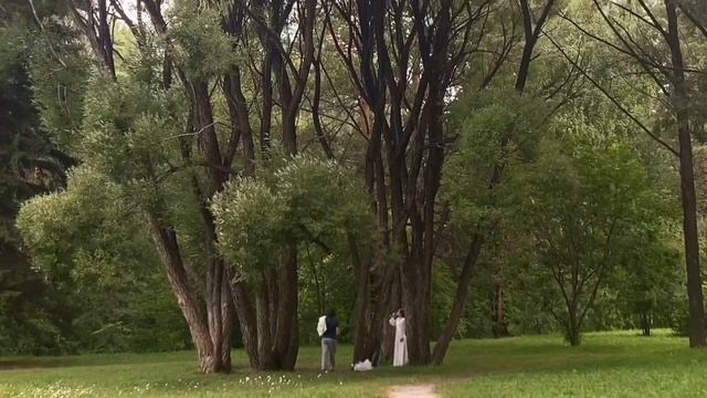маршрут по новосибирскому академгородку смотреть онлайн