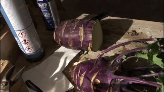 Новозеландские красные кролики. Кормление и уход смотреть онлайн