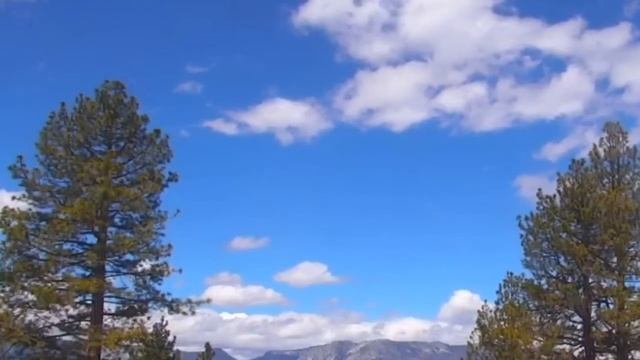 Почему в голову приходят навязчивые мысли и как от них избавиться? смотреть онлайн