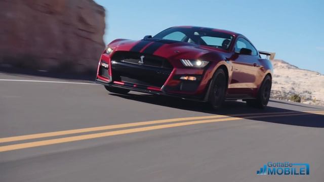 2020 Ford Shelby Mustang GT500 Hands On , Sound & Walkaround смотреть онлайн