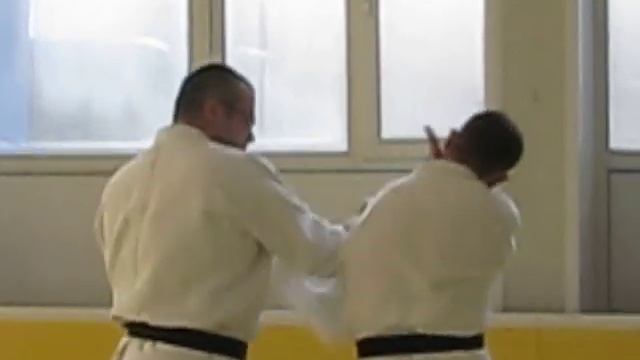Combat Aikido II смотреть онлайн