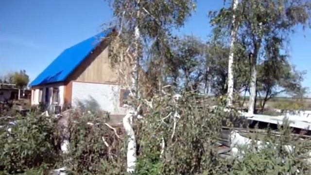 Теличье смотреть онлайн