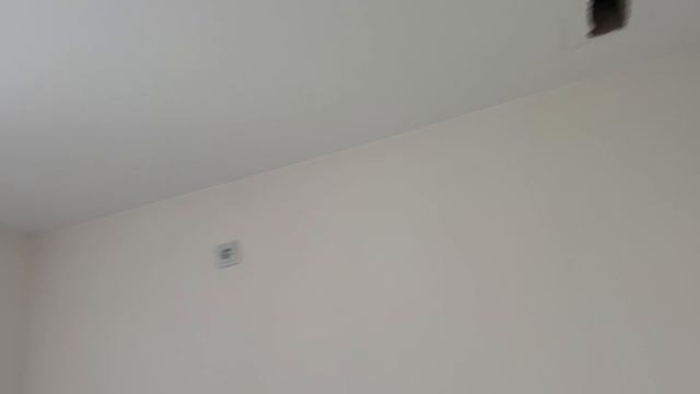 Жк Приневский 1к отделка смотреть онлайн