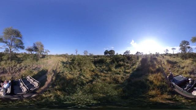 VR Manyeleti Game Drive Wildlife Safari trip - Photos of Africa @livestreamnature @PhotosofAfrica смотреть онлайн