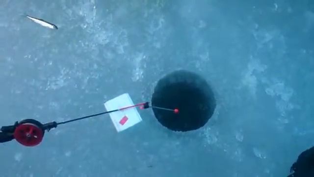 озеро мичуринское смотреть онлайн