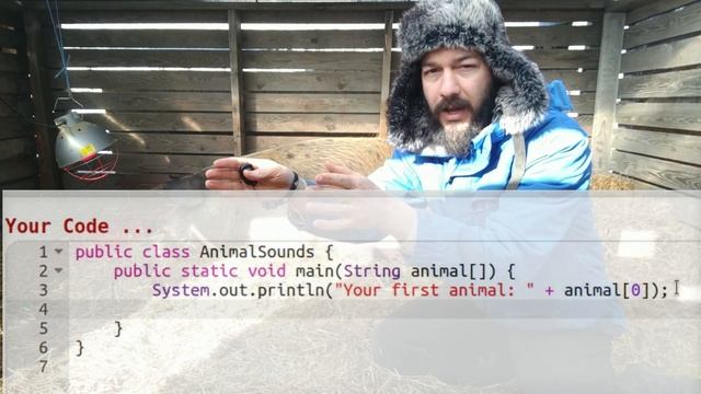 Two ways to take input into our Java program смотреть онлайн