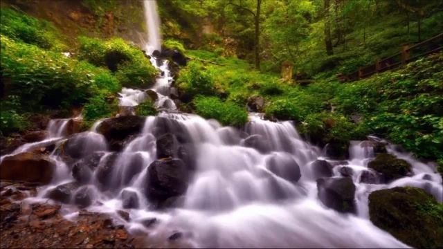 Живые обои для Windows 7 Forest Falls скачать смотреть онлайн