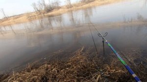 Ловля плотвы на удочку весной со ДНА!