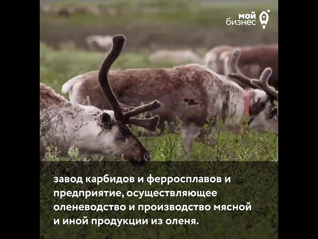 Инта Арктика смотреть онлайн