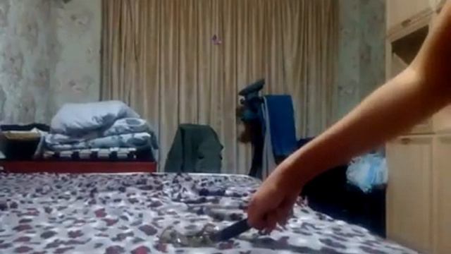 Разбиваю тарелочку | Жора обжора из сейфа взял свою заначку чтобы не худеть но ГМЛ спалил Жору и... смотреть онлайн