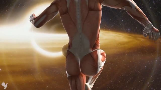Alpha Waves Heal Body Damage ? Repair All Nerves And Veins Of The Body, Clear Bad Energies?528 Hz