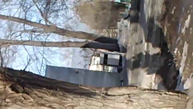 угарный алкаш синька дала в голову и началась белая горячка))) смотреть онлайн