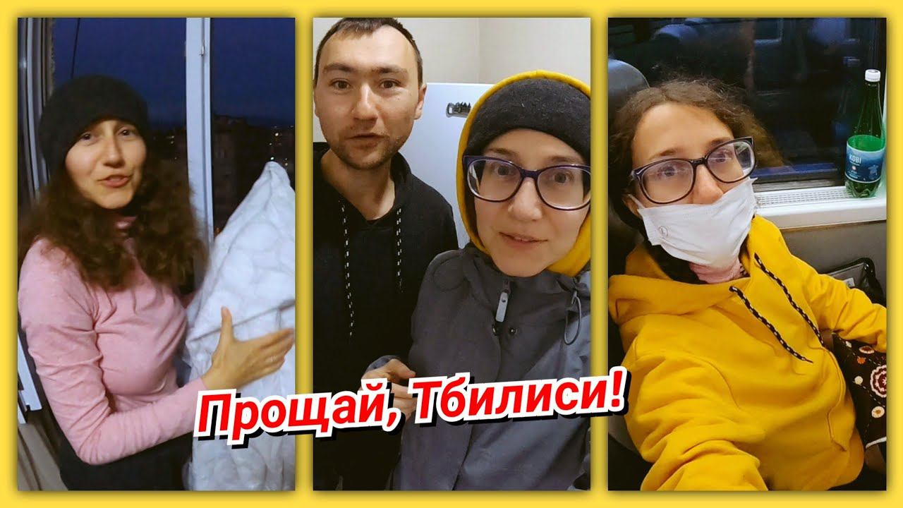 #51 Уезжаем из Тбилиси! Кормим бездомных собак! Опасное это дело белье развешивать смотреть онлайн