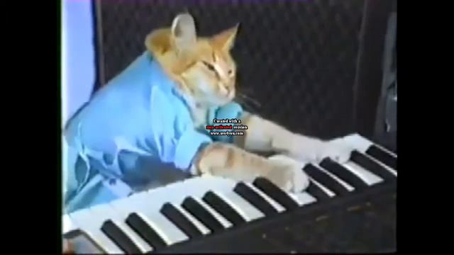 Play piano - Sans Fell | Charlie Schmidt's Keyboard Cat! - THE ORIGINAL! смотреть онлайн
