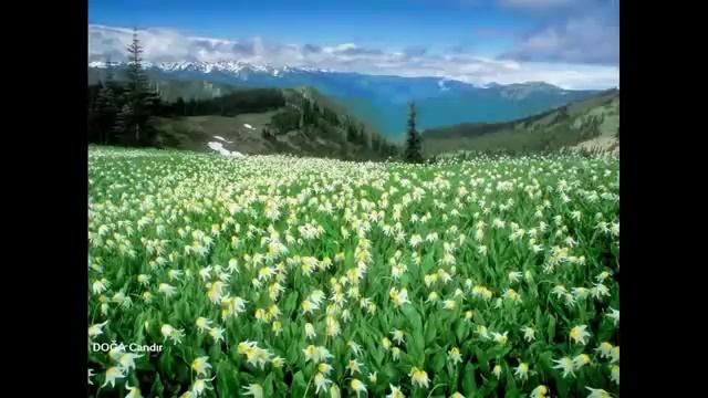 МЕДИТАЦИЯ ПО ЧАКРАМ. МУЛАДАРА. САХАДЖА ЙОГА смотреть онлайн