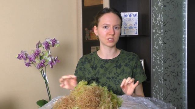 РАСПАКОВКА ПОСЫЛКИ ? Живой мох сфагнум и кора
