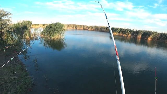 Рыбалка на низовье р. Или. Потрясающий отдых. Ловим сазана и карася. смотреть онлайн