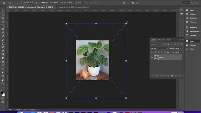Adobe Photoshop | Transformations, Rotate, Scale, Move, Crop, Straighten, Distortion, Warp, & Guide смотреть онлайн
