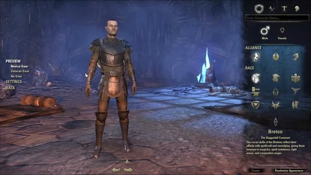 Thoughts On The Elder Scrolls Online (part 1)