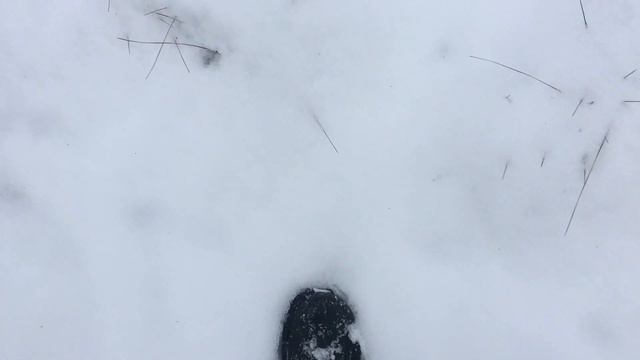 След рыси смотреть онлайн