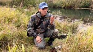 Рукоять ножа из бересты. Только плюсы, никаких минусов!