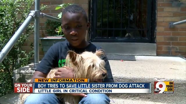 Boy tries to save little sister from dog attack смотреть онлайн