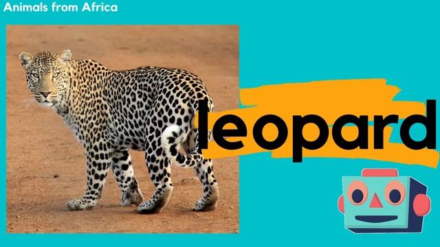 Kids English Vocabulary - African Animals Part 1 смотреть онлайн
