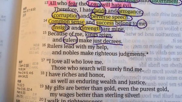 STUDY WITH ME: THE BOOK OF WISDOM// PROVERBS CHAPTER 8