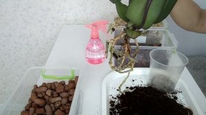 Какой ГОРШОК ДЛЯ ОРХИДЕИ выбрать? Пересадка орхидеи.
