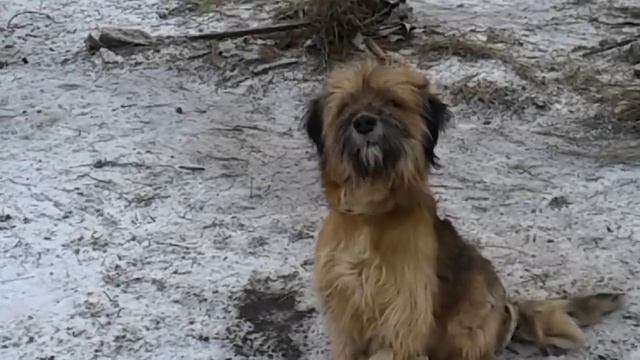 Первый день зимы-первый снег! смотреть онлайн